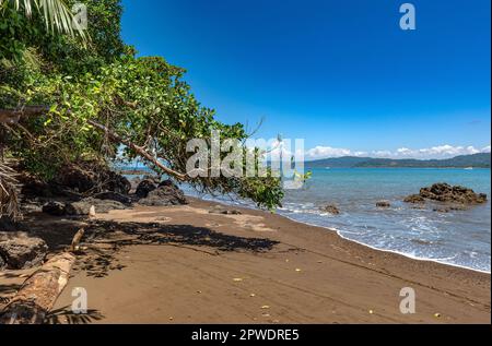 Sandstrand der kleinen Stadt Drake Bay, Puntarenas, Costa Rica Stockfoto