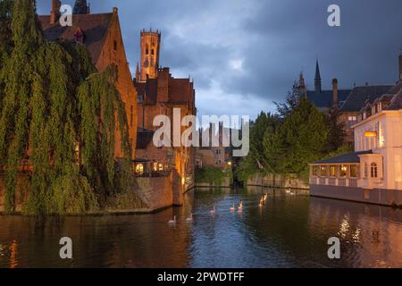 Historisches mittelalterliches Rozenhoedkaai aus dem 13. Jahrhundert, Rosary Quay, in der Abenddämmerung am Dijver-Kanal und den Schwanen in Brügge, einem UNESCO-Weltkulturerbe. Stockfoto