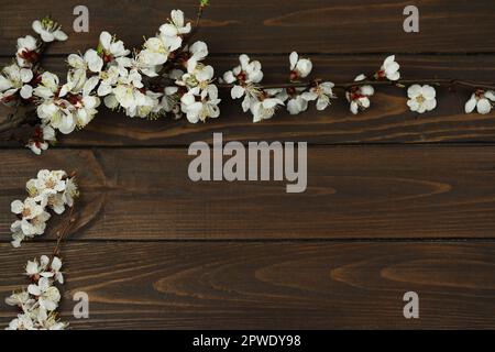 Dunkelbrauner Holzhintergrund mit Frühlingsapricot-Blüte und Kopierbereich Stockfoto