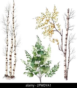 Aquarell Birkenbäume Russland Baum Designelement für Tapeten, Website Hintergrund Vektordarstellung. Stock Vektor