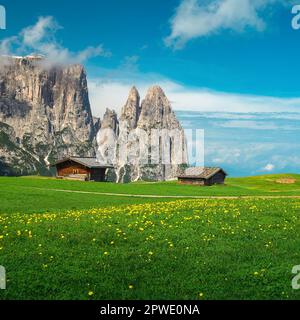 Fantastischer alpiner Ort mit gelben Löwenzahnblumen und hölzernen Chalets auf den grünen Feldern. Wunderschöne Klippen und blumige Wiesen, Alpe di Siusi, Dolo Stockfoto