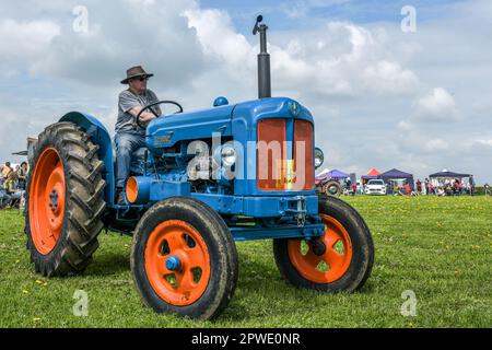 Traktor Stockfoto