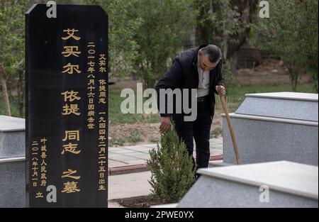 (230430) -- YECHENG, 30. April 2023 (Xinhua) -- Eniwar Emer überprüft das Wachstum von Baumsaatlingen neben dem Grabstein seines Vaters auf dem Yecheng-Märtyrerfriedhof in Yecheng, Nordwestchina, Autonome Region Xinjiang Uygur, 16. April 2023. Jeden April blühen Blumen auf dem Friedhof der Yecheng-Märtyrer in der Autonomen Region Xinjiang Uygur im Nordwesten Chinas, wo 233 Märtyrer begraben wurden. „Ich werde mich gut um den Friedhof kümmern“, sagte der 53-jährige Eniwar Emer vor dem Grabstein seines Vaters. Eniwar ist ein Hüter der zweiten Generation auf dem Friedhof der Yecheng-Märtyrer und folgt den Spuren seines fats Stockfoto