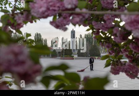 (230430) -- YECHENG, 30. April 2023 (Xinhua) -- Eniwar Emer durchkämmt den Boden auf dem Yecheng-Märtyrerfriedhof in Yecheng, Nordwestchina, Autonome Region Xinjiang Uygur, 16. April 2023. Jeden April blühen Blumen auf dem Friedhof der Yecheng-Märtyrer in der Autonomen Region Xinjiang Uygur im Nordwesten Chinas, wo 233 Märtyrer begraben wurden. „Ich werde mich gut um den Friedhof kümmern“, sagte der 53-jährige Eniwar Emer vor dem Grabstein seines Vaters. Eniwar ist ein Hüter der zweiten Generation des Friedhofs der Yecheng-Märtyrer und folgt den Spuren seines Vaters Emer Yit, der dort die Gräber gepflegt hatte Stockfoto