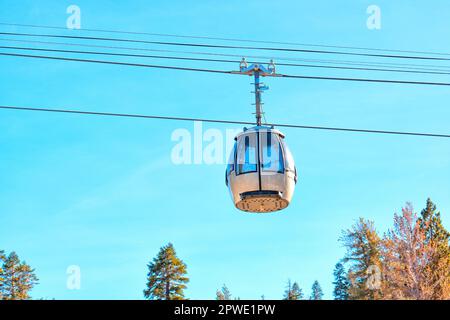 Nahaufnahme einer Skilift-Gondel und Stahlseile hoch über den Kiefern vor einem klaren blauen Himmel. Stockfoto