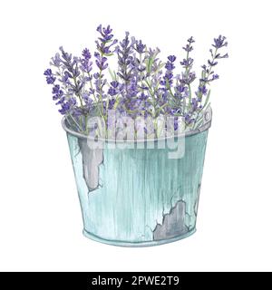 Lavendelfarbener Strauß in einem Eimer isoliert auf weißem Hintergrund Aquarelle Darstellung provenzalischer Blumen. Französischer Stil. Das botanische Bild der Blumen. Su Stockfoto