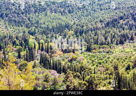 Blick auf den berühmten Hymettus und das Kaisariani-Kloster, Athen, Attika, Griechenland Stockfoto