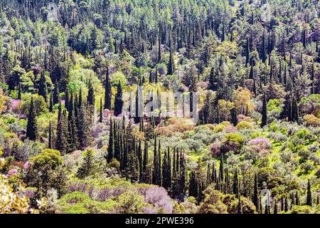 Blick auf den berühmten Hymettus und das Kaisariani-Kloster, Athen, Attika, Griechenland Stockfoto