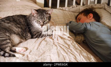 Die Katze beschützt den Schlaf des Kindes. Das Haustier sitzt neben dem schlafenden Baby. Kind im Alter von etwa zwei Jahren (ein Jahr, zehn Monate) Stockfoto