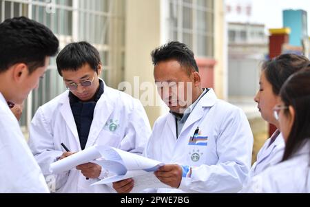 (230430) -- LHASA, 30. April 2023 (Xinhua) -- Buchung Tsering und seine Studenten erfahren mehr über die Politik im Zusammenhang mit der Entwicklung der tibetischen Medizin in Lhasa, Südwestchina Autonome Region Tibet, 20. April 2023. Buchung Tsering ist seit etwa 20 Jahren im Bereich der tibetischen Medizin tätig. Er ist Manager der Produktionsabteilung von Tibet Ganlu Tibetan Medicine Co., Ltd Die tibetische Medizin, die in Tibet als „Sowa Rigpa“ bekannt ist, geht auf 2.500 Jahre zurück. Es hat die Einflüsse der traditionellen chinesischen, indischen und arabischen Medizin absorbiert und wird hauptsächlich in Tibet und dem Himalaya-Reg. praktiziert Stockfoto