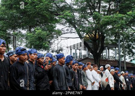 Serang, Indonesien. 29. April 2023. Baduy-Menschen nehmen an einer Reihe von traditionellen Seba Baduy-Zeremonien in Serang Teil. Die Seba Baduy-Tradition ist eine Reihe von jährlichen Traditionen der Baduy-Menschen, die ihre Bestrebungen vermitteln, sich mit der lokalen Regierung anfreunden und als eine Form der Dankbarkeit für die reichhaltige Ernte dienen. Kredit: SOPA Images Limited/Alamy Live News Stockfoto