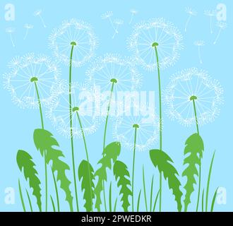 Löwenzahn mit fliegenden Samen auf der Wiese, einfache Sommerdarstellung. Abstrakte Blumen Löwenzahn Pflanzen. Botanisches Blumendesign für Postkarten, Poster oder Einladungen, Hochzeitskarten, Überzüge für Poster Stock Vektor