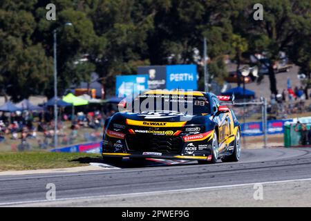 30. April 2023; Wanneroo Raceway, Perth, Westaustralien, Australien: Perth Supersprint 2023. Tag 3; Nummer 600 DeWalt Fahrer Mark Winterbottom während des Rennens 9 beim Perth Supersprint Credit: Action Plus Sports Images/Alamy Live News Stockfoto