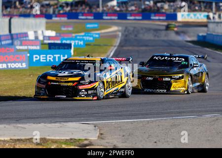 30. April 2023; Wanneroo Raceway, Perth, Westaustralien, Australien: Perth Supersprint 2023. Tag 3; Nummer 600 DeWalt Fahrer Mark Winterbottom während des Rennens 9 beim Perth Supersprint Credit: Action Plus Sports Images/Alamy Live News Stockfoto