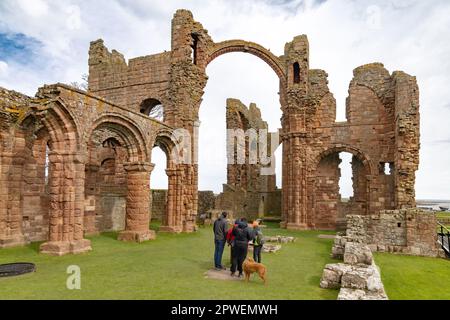 Besucher von Lindisfarne Priory, Holy Island Northumberland UK; Klosterruine aus dem 7. Jahrhundert, die mit St. Cuthbert und dem frühen christentum in Großbritannien in Verbindung steht Stockfoto