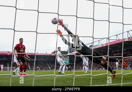 Das Jefferson Lerma von Bournemouth erzielt während des Spiels der Premier League im Vitality Stadium in Bournemouth das erste Tor seiner Seite. Foto: Sonntag, 30. April 2023. Stockfoto