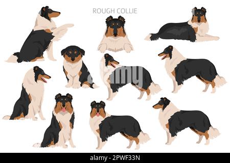 Rauer Collie Clipart. Verschiedene Posen, Fellfarben gesetzt. Vektorgrafik Stock Vektor