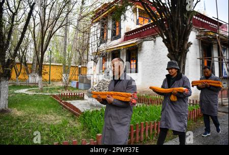 (230430) -- LHASA, 30. April 2023 (Xinhua) -- Gyumey Tsultrim (1. l) und seine Kollegen sammeln alte Bücher, bevor sie eine Bestandsaufnahme in Lhasa, der Autonomen Region Tibet im Südwesten Chinas, am 19. April 2023 vornehmen. Im Truzing-Palast von Norbulingka in den westlichen Vororten von Lhasa werden Tausende alter Bücher auf verschiedenen Feldern Tibets in Regalen gelagert. Im Moment besteht die Hauptaufgabe von Gyumey Tsultrim und seinen Kollegen darin, die alten Bücher sowohl manuell als auch digital zu inventarisieren. Gyumey Tsultrim wurde 1967 in Chanang County in Shannan geboren. 1986, während Experten von der Akademie der SoC Stockfoto