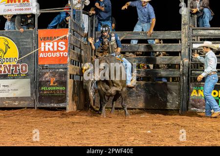 Itaja, Goias, Brasilien - 04 23 2023: Bullenreiten in einer Rodeoarena bei Nacht Stockfoto