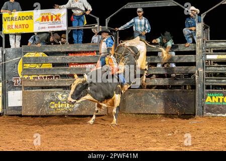 Itaja, Goias, Brasilien - 04 23 2023: Bullenreiten in einer Rodeoarena bei Nacht Stockfoto