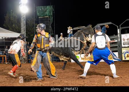 Itaja, Goias, Brasilien - 04 23 2023: Bullenreiten in einer Rodeoarena bei Nacht Stockfoto