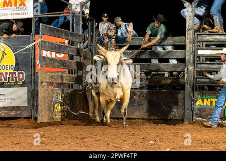 Itaja, Goias, Brasilien - 04 23 2023: Bullenreiten in einer Rodeoarena bei Nacht Stockfoto