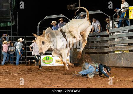 Itaja, Goias, Brasilien - 04 23 2023: Bullenreiten in einer Rodeoarena bei Nacht Stockfoto