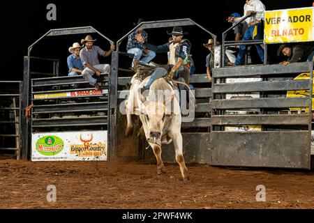 Itaja, Goias, Brasilien - 04 23 2023: Bullenreiten in einer Rodeoarena bei Nacht Stockfoto