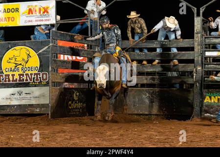 Itaja, Goias, Brasilien - 04 23 2023: Bullenreiten in einer Rodeoarena bei Nacht Stockfoto