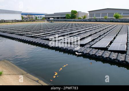 Solarpaneele in einer Abwasseraufbereitungsanlage. Konzept für erneuerbare Energien Stockfoto