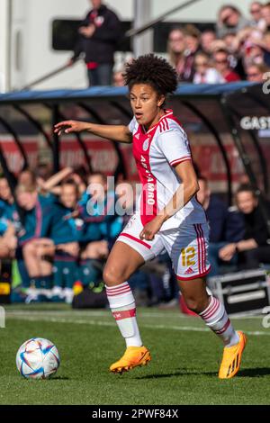 Amsterdam, Niederlande. 29. April 2023. Amsterdam, Niederlande, April 29. 2023: Isabelle Hoekstra (12 Ajax) in Aktion während des Spiels Azerion Eredivisie Vrouwen zwischen Ajax und Twente in De Toekmost in Amsterdam, Niederlande. (Leiting Gao/SPP) Kredit: SPP Sport Press Photo. Alamy Live News Stockfoto