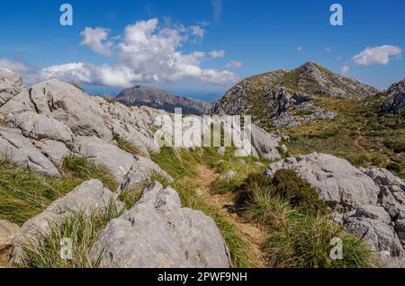 Blick von der Coll des Prat in Richtung der Halbinsel Formentor auf der GR221, der Dystonenstraße im Tramuntana-Gebirge von Mallorca, Spanien Stockfoto