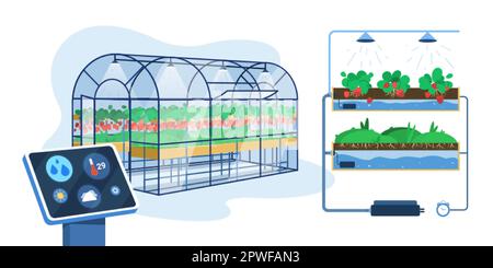 Flaches Gewächshaus mit intelligenter Innovationstechnologie für den Anbau oder die automatische Bewässerung von Pflanzen. Landwirtschaftliche Kultivierung, hydroponisches Gartensystem mit digitalem Steuergerät. Konzept der Agrarindustrie. Stock Vektor