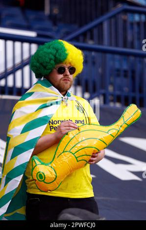 West Bromwich, Großbritannien. 29. April 2023. Ein Norwich-Fan während des Sky Bet Championship-Spiels zwischen West Bromwich Albion und Norwich City im Hawthorns am 29. 2023. April in West Bromwich, England. (Foto: Mick Kearns/phcimages.com) Kredit: PHC Images/Alamy Live News Stockfoto