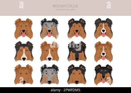 Rauer Collie Clipart. Verschiedene Posen, Fellfarben gesetzt. Vektorgrafik Stock Vektor