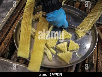 Gaza, Palästina. 28. April 2023. Honigwaben aus einem Bienenstock während der jährlichen Erntesaison in der Stadt Beit Hanoun im nördlichen Gazastreifen. (Credit Image: © Mahmoud Issa/SOPA Images via ZUMA Press Wire) NUR REDAKTIONELLE VERWENDUNG! Nicht für den kommerziellen GEBRAUCH! Stockfoto