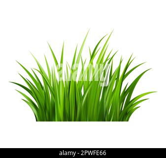 Realistisches grünes Gras. Frische Grünbüsche. Frühlingswiese. Stock Vektor