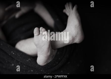 Winziger Babyfuß auf marineblauer Hintergrunddecke. Nahaufnahme des Fußes des Babys das Baby ist bequem in eine blaue Decke gewickelt. Stockfoto