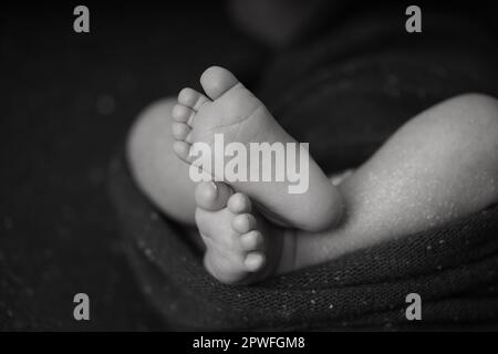 Schwarz-weiß, winziges Baby barfuß gekreuzt auf einer Decke. Nahaufnahme des Fußes des Babys das Baby ist bequem in eine Decke gewickelt. Haut für Neugeborene p Stockfoto