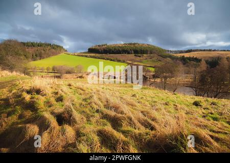 Ländliche Landschaft und malerische, alte Steinbrücke über den Fluss Tweed in Peebles, an der schottischen Grenze, Schottland, Großbritannien. Stockfoto