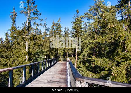 Der Baumweg heißt Stezka korunami stromu in Lipno und hat eine Rutsche inmitten einer Holzkonstruktion. Stockfoto