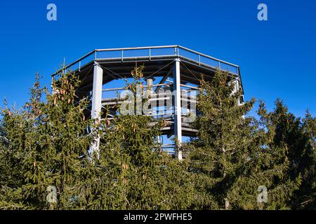 Der Baumweg heißt Stezka korunami stromu in Lipno und hat eine Rutsche inmitten einer Holzkonstruktion. Stockfoto