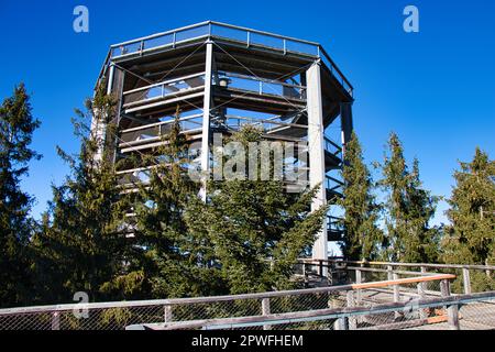 Der Baumweg heißt Stezka korunami stromu in Lipno und hat eine Rutsche inmitten einer Holzkonstruktion. Stockfoto