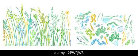 Handgezeichnete bunte Wildblumen und Gras. Satz Grashalme. Vektordarstellung Stock Vektor