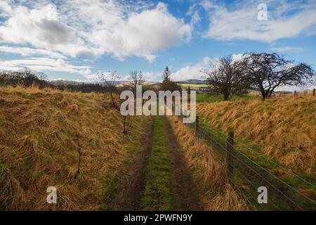 Eine alte, leere, unbefestigte Landstraße in der ländlichen, pastoralen Landschaft von Peebles, an den schottischen Grenzen, Schottland, Großbritannien. Stockfoto