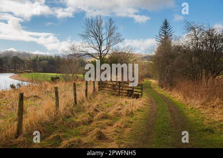 Eine alte, leere, unbefestigte Landstraße in der ländlichen, ländlichen Landschaft von Peebles am Fluss Tweed, an der schottischen Grenze, Schottland, Großbritannien. Stockfoto