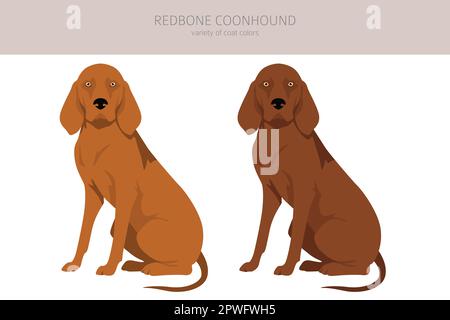 Rotbone Coonhound Clipart. Verschiedene Posen, Fellfarben eingestellt. Vektorgrafik Stock Vektor