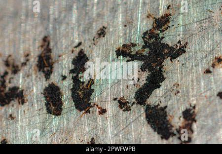 Gebrannter Boden aus Edelstahl-Kochtopf Stockfoto