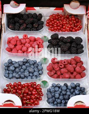 Frische reife Beeren zum Verkauf in einem Gemüsehändler Stockfoto