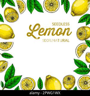 Zitronenquadrat-Hintergrund. Farbenfrohe Vektordarstellung im Skizzenstil. Das Design kann für Verpackungen, Post in sozialen Medien, Drucke, Karten, Dekorationen verwendet werden Stock Vektor